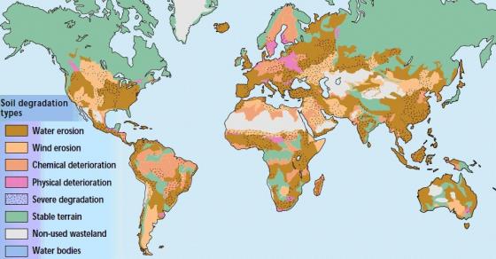 FAO 1996 soil degradation human induced